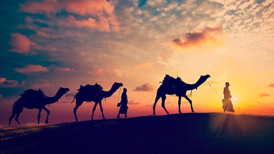 Top 7 places to visit in Rajasthan