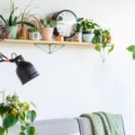 Urban Jungle: A Series On Indoor Plants