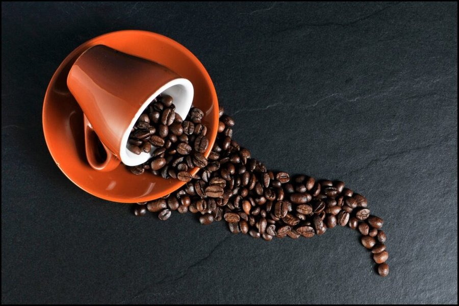 Wholesale Coffee Beans: How to Choose the Best?